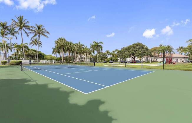 a blue and green tennis court with palm trees