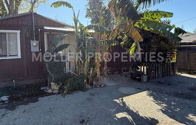 Magnolia 11900-11906