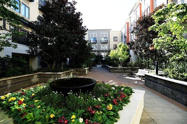 1 bed, 1 bath, 722 sqft, $2,100, Unit 729