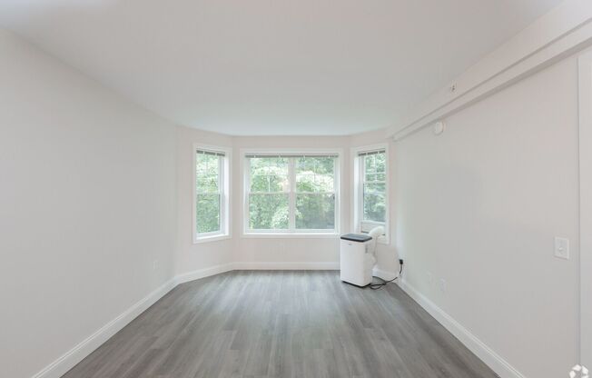 1 bed, 1 bath, 545 sqft, $1,850, Unit 223