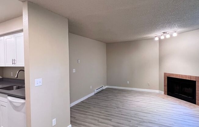 Mountain View Apartment