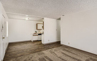 open living and dining area with connected kitchen