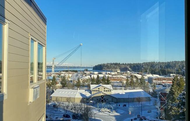 farmers market in snowat Harbor Heights 55+ Community, Olympia, Washington