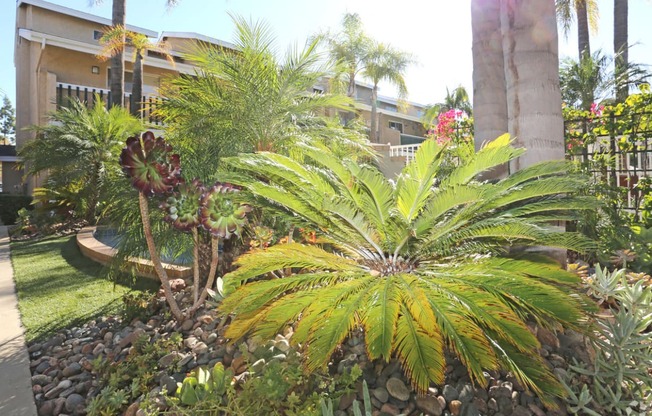 View of plants and landscaping in front of Rental Office