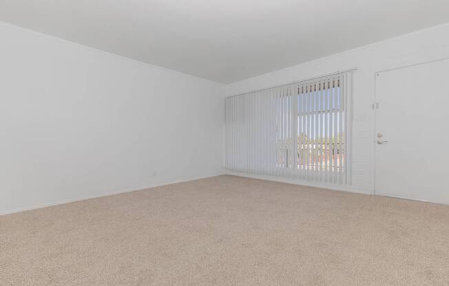 A room with a carpeted floor and a window with blinds.