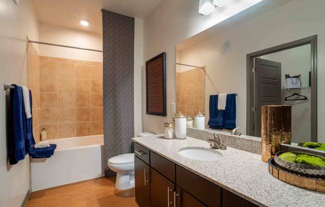 a bathroom with a sink and a toilet and a shower