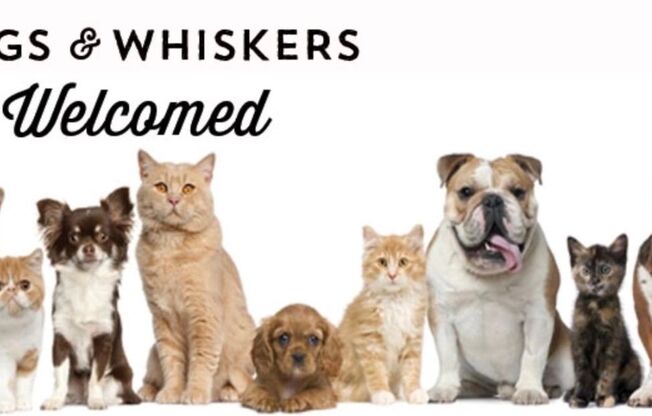 1 bed, 1 bath, 750 sqft, $1,169, Unit 14