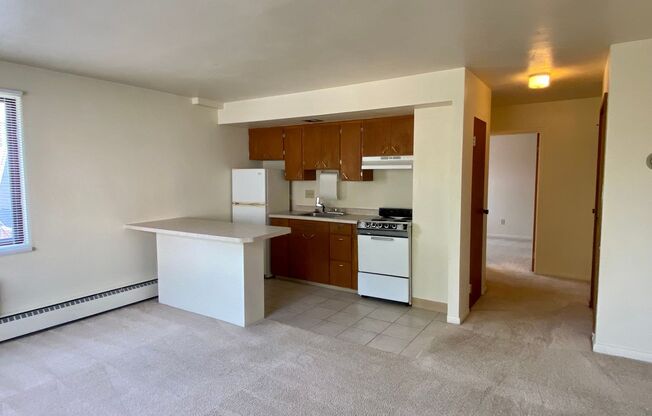 1 bed, 1 bath, 550 sqft, $1,275, Unit 304