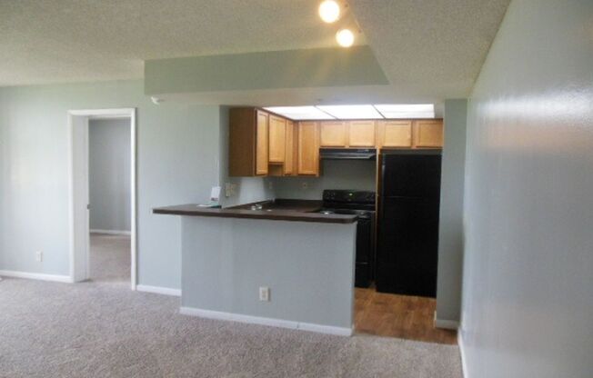 TWO BEDROOM TWO BATHROOM!! FULL LAKE VIEW!