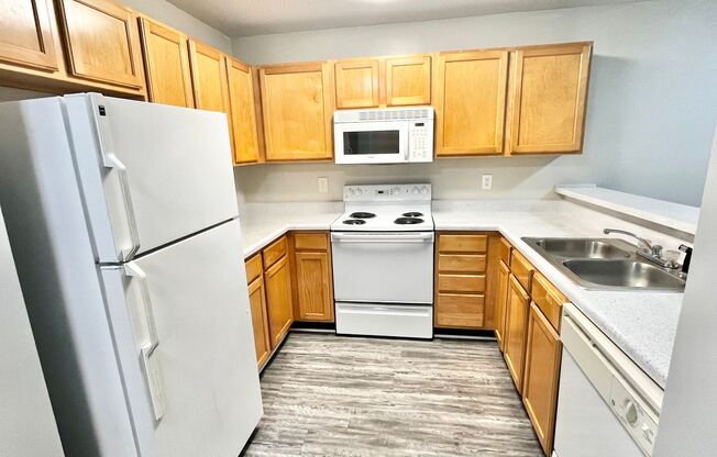 1 bed, 1 bath, 855 sqft, $1,095, Unit 1M