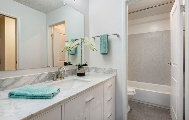 Designer Bathroom Suites with tub at Marine View Apartments, Alameda, CA, California