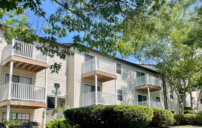 1 bed, 1 bath, 450 sqft, $800, Unit 11-04