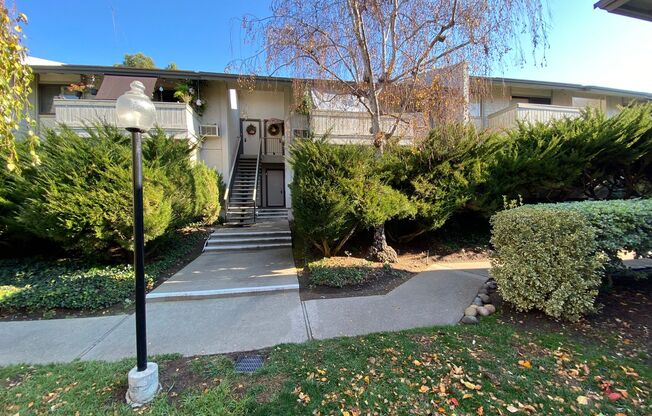1 Bed 1 Bath Condo In Walnut Creek *REMODELED* (Marchbanks)