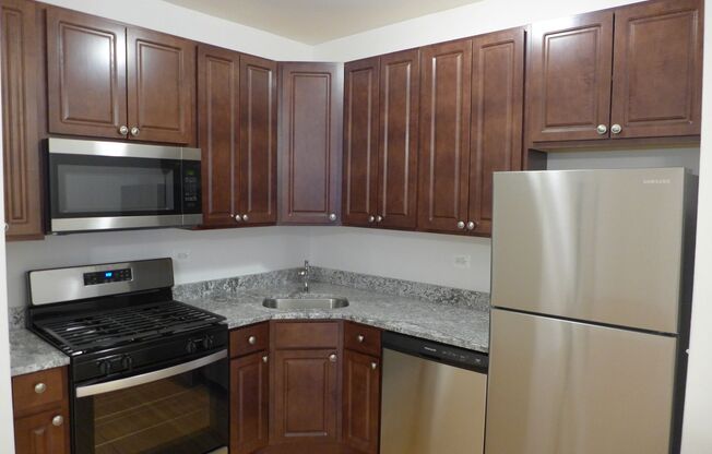 Studio, 1 bath, 405 sqft, $1,175, Unit 113