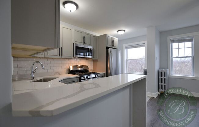 1 bed, 1 bath, 446 sqft, $1,820, Unit 602