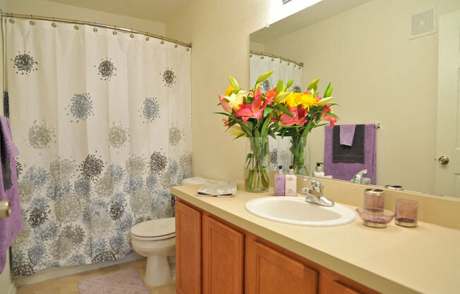 Bathroom at Killian Lakes Apartments and Townhomes, Columbia, SC, 29203