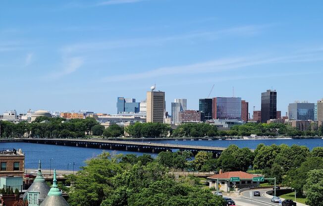 2 beds, 1 bath, $3,900, Unit #74