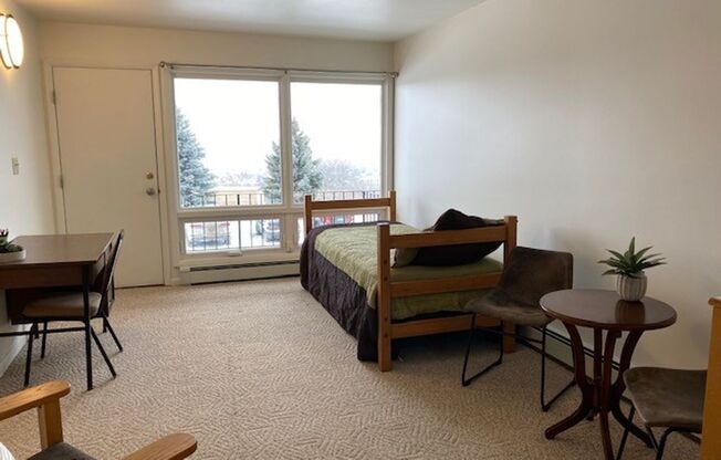 Studio, 1 bath, 400 sqft, $1,000, Unit Hudson Heights Bldg B-18