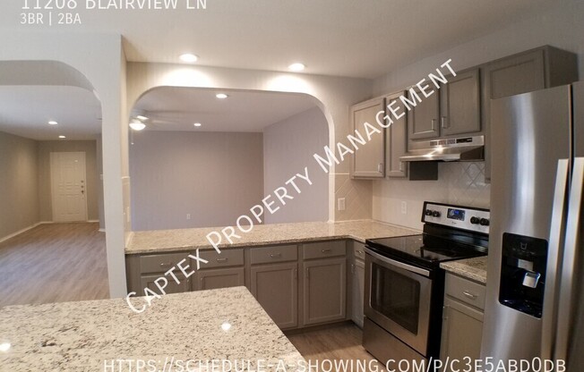 11208 BLAIRVIEW LN