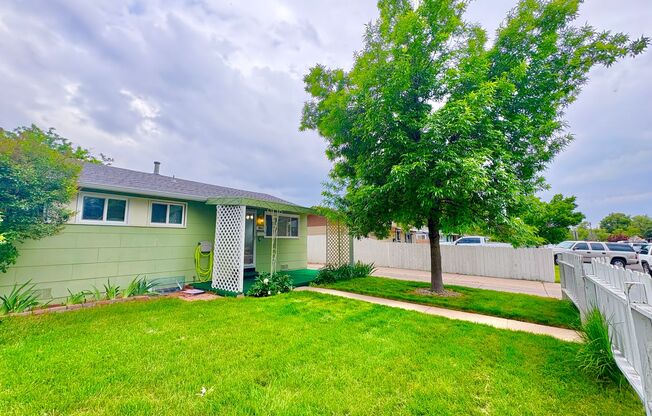 Immaculate, Updated, & Bright Home in West Denver-Ready for Move -in!!