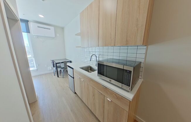 Studio, 1 bath, 314 sqft, $1,250, Unit 206