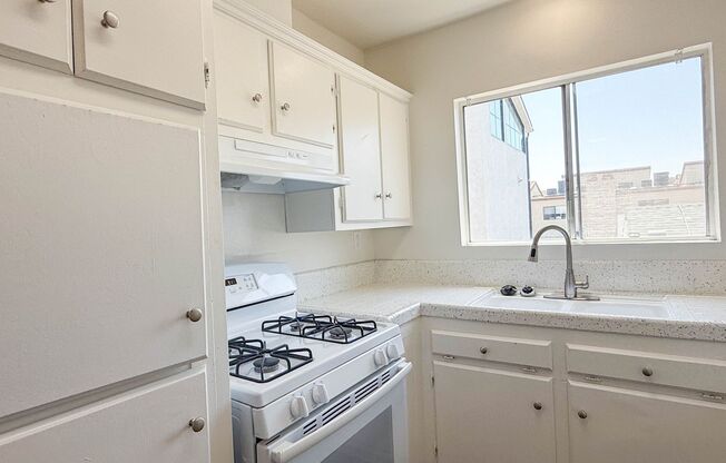 Adams North | Beautiful 1 Bed 1 Bath