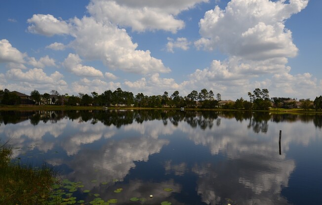 4 BR Lakefront & Pool Home