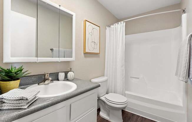A bathroom with a white toilet, sink, and bathtub.