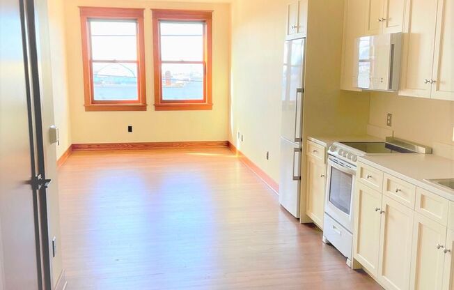 Studio, 1 bath, 369 sqft, $1,350, Unit 202