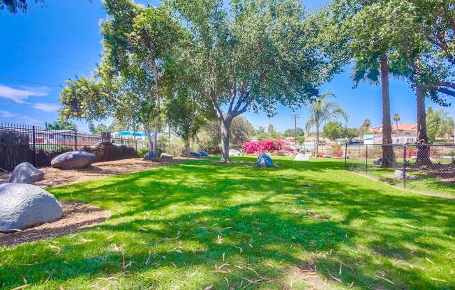 a park with grass and trees and a playground