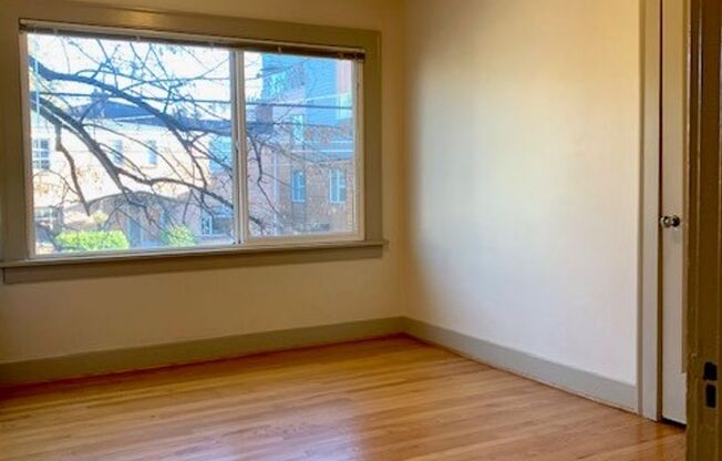 1 bed, 1 bath, 600 sqft, $1,795, Unit 301