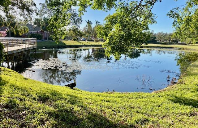 2 beds, 2 baths, 1,028 sqft, $1,995