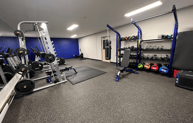 a fully equipped gym with weights and other exercise equipment