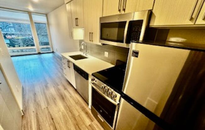 Studio, 1 bath, 316 sqft, $1,295, Unit 205