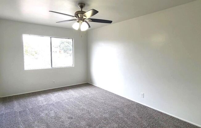 1 bed, 1 bath, $1,800, Unit 5