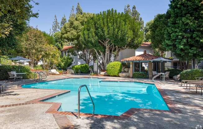 our apartments showcase an unique swimming pool