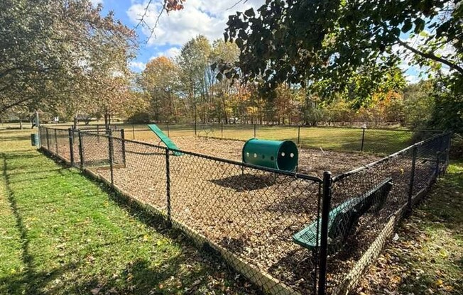 Dog Park