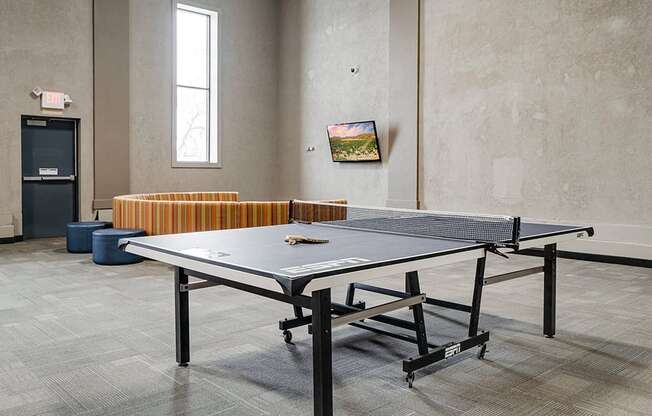 ping pong table