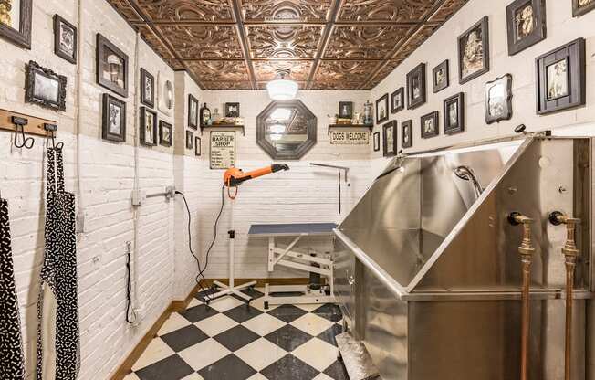 The District Dog Blow Dry Station