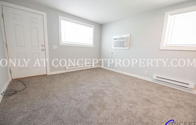 1 bed, 1 bath, 480 sqft, $920, Unit 164