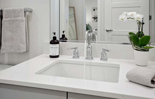 a bathroom sink with a bottle of soap and a vase of flowers at Sinclaire on Seminary, Alexandria, VA 22311