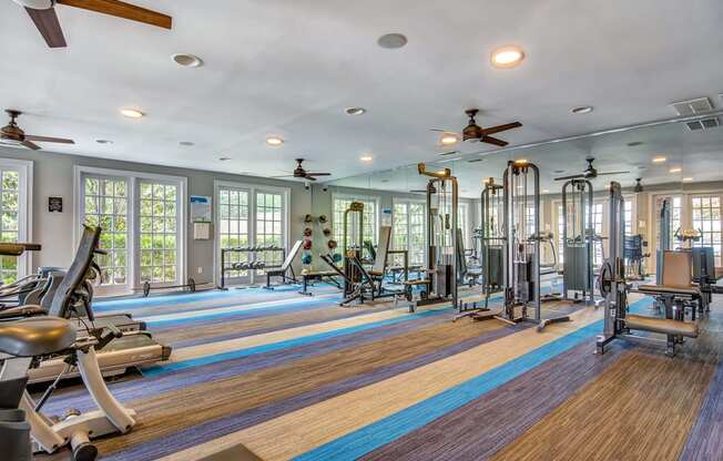 Gym and Fitness Center