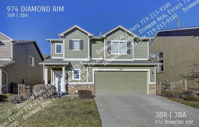 974 DIAMOND RIM DR