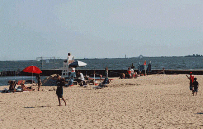 Beach Photo