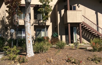 COLLEGE GROVE #98