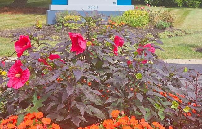 2 beds, 1 bath, 956 sqft, $1,050, Unit 3713-2A