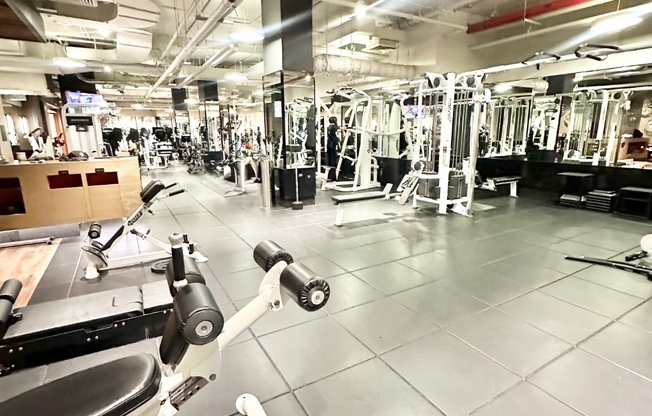 1 bed, 1 bath, $7,000, Unit 8B