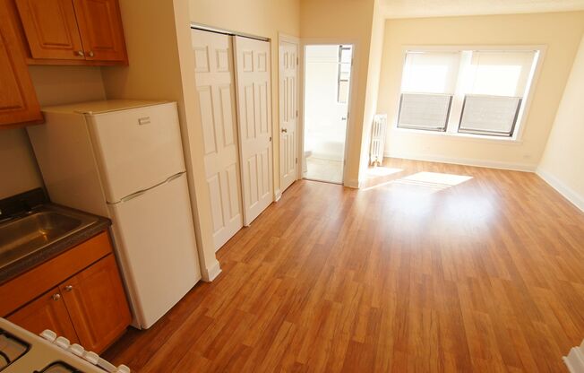 Studio, 1 bath, 402 sqft, $1,195, Unit 305