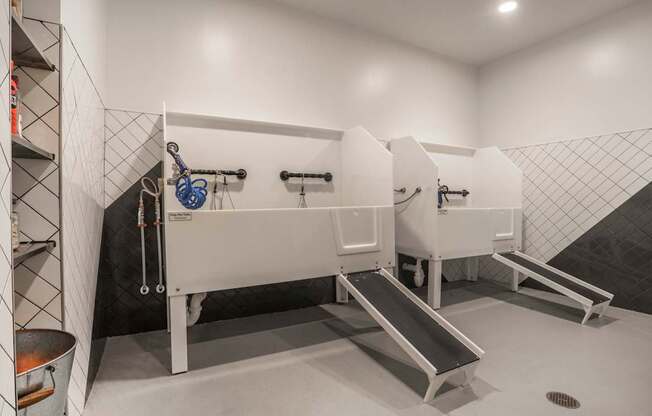 On-Premise Pet Wash Stations