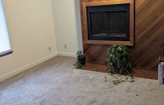 Strawberry Patch in Bellevue